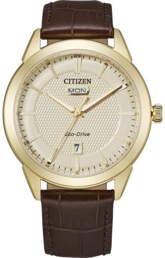 Reloj de pulso Citizen caballero Do C061381
