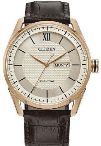 Reloj de pulso Citizen caballero Be C061512