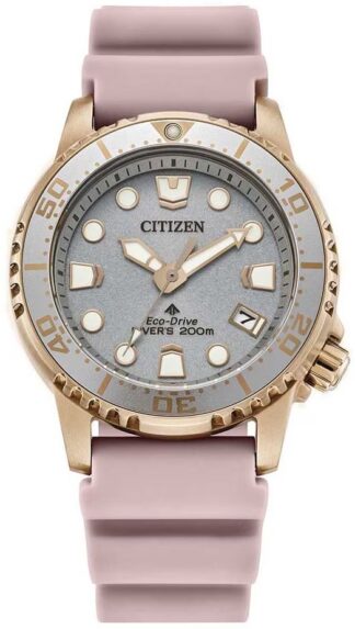 Reloj de pulso Citizen dama Gris  C061731