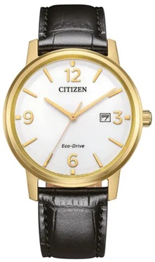 Reloj de pulso Citizen Caballero Bl C061995