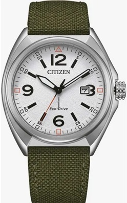 Reloj de pulso Citizen Caballero Bl C062031