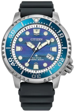 Reloj de pulso Citizen Caballero Az C062047