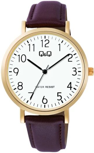 Reloj de Pulso Q&Q Caballero Blanco C34A-008P